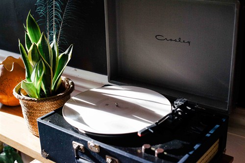 Desk Botanical